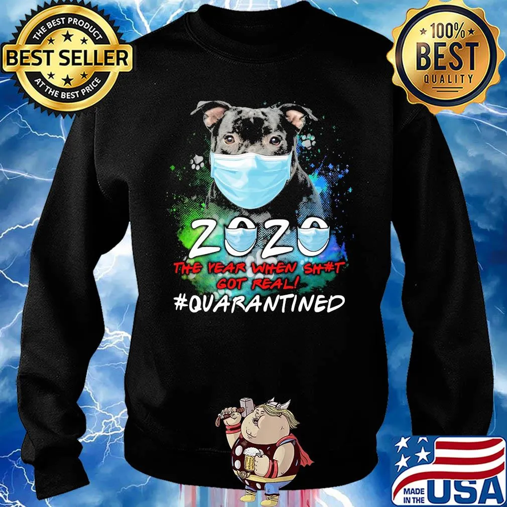 Pitbull 2020 the year when got real #quarantined s Sweater