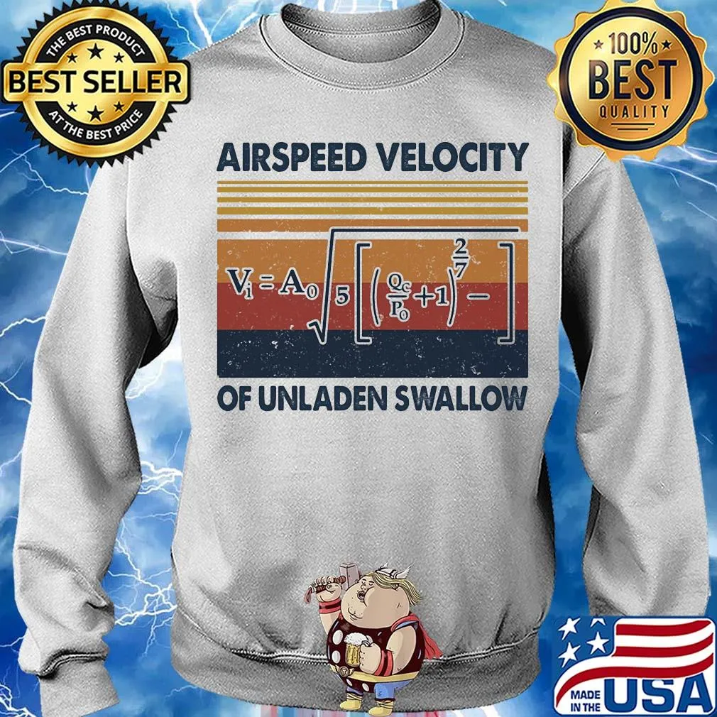 Airspeed velocity of unladen swallow vintage s Sweater