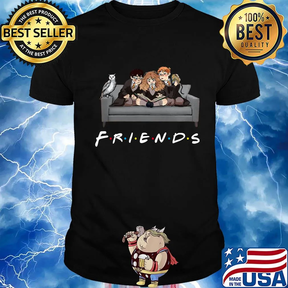 Owl friend Harry potter on the sofa shirt
