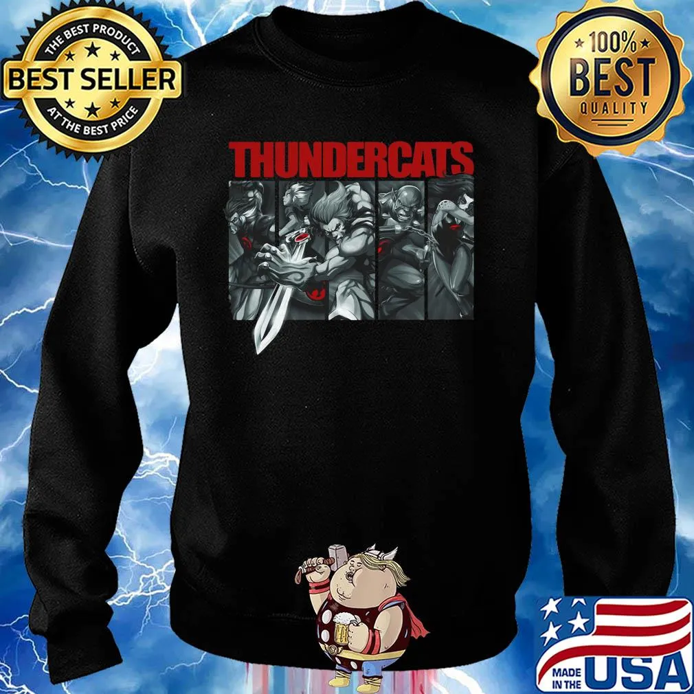 Thundercats Cartoon poster wall art home s Sweater