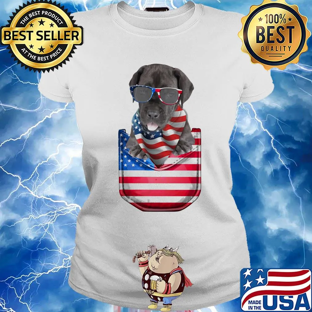 Great dane pocket american flag independence day s Ladies tee