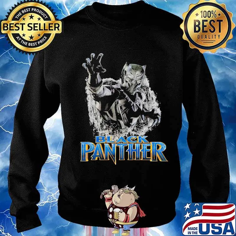 Black panther rip chadwick Boseman wakanda forever 2020 s Sweater