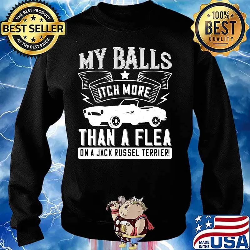 Car my balls itch more than a flea on a jack russell terrier s Sweater
