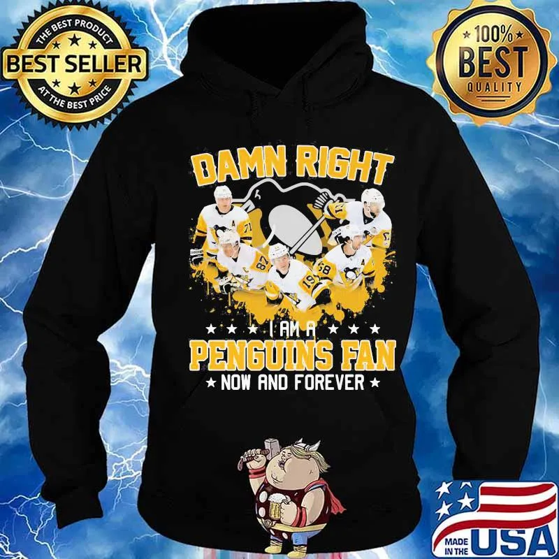 Damn right i am a pittsburgh penguins fan now and forever stars s Hoodie