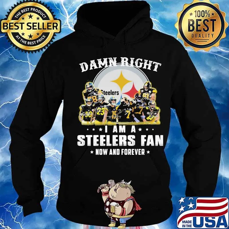 Damn right i am a pittsburgh steelers fan now and forever stars signatures s Hoodie