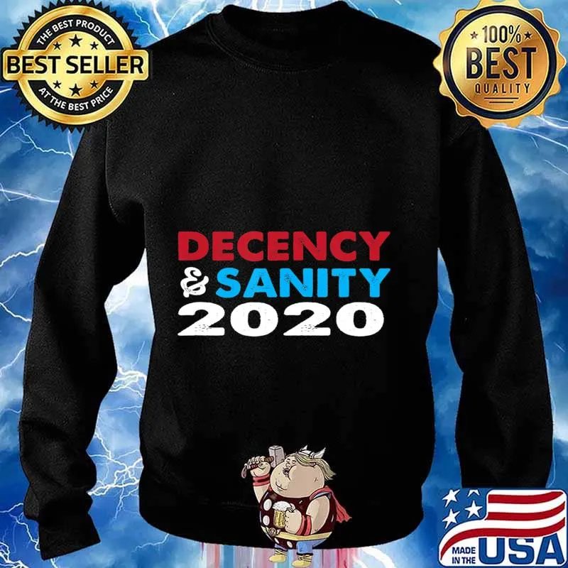Decency and Sanity 2020 T-Shirt Sweater