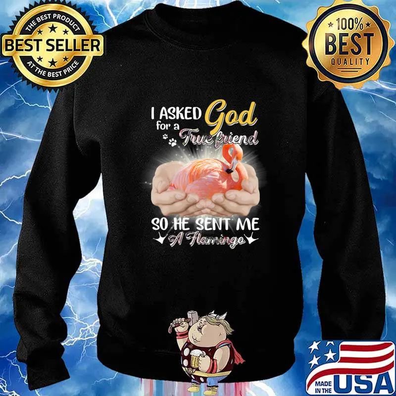 I asked god for a true friend so he sent me a flamingo s Sweater