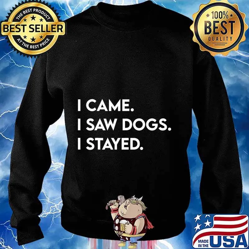 I Came I Saw Dogs I Stayed Gift For Dog Lover Dog Owner T-Shirt Sweater