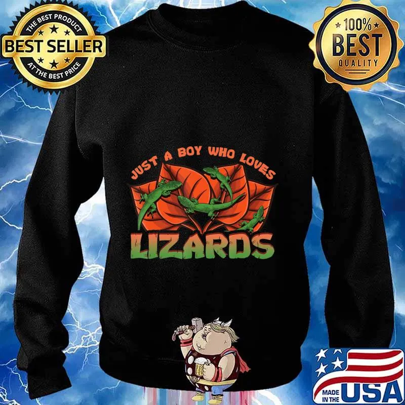 Just A Boy Who Loves Lizards Funny Reptile Herpetology Gift T-Shirt Sweater