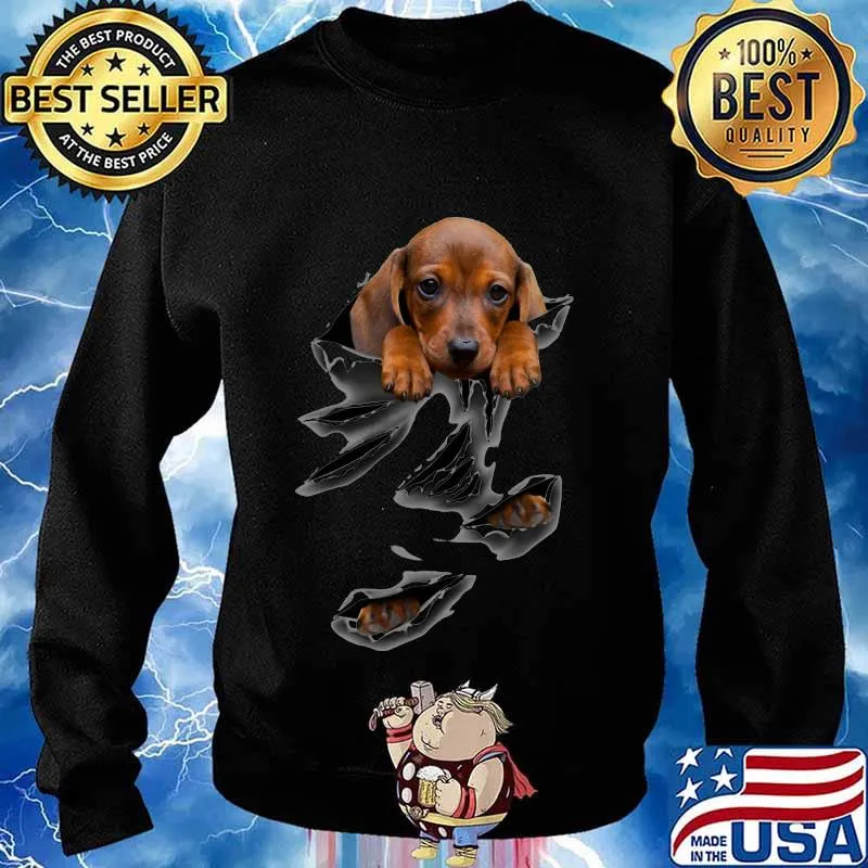 Official dachshund dog scratched s Sweater