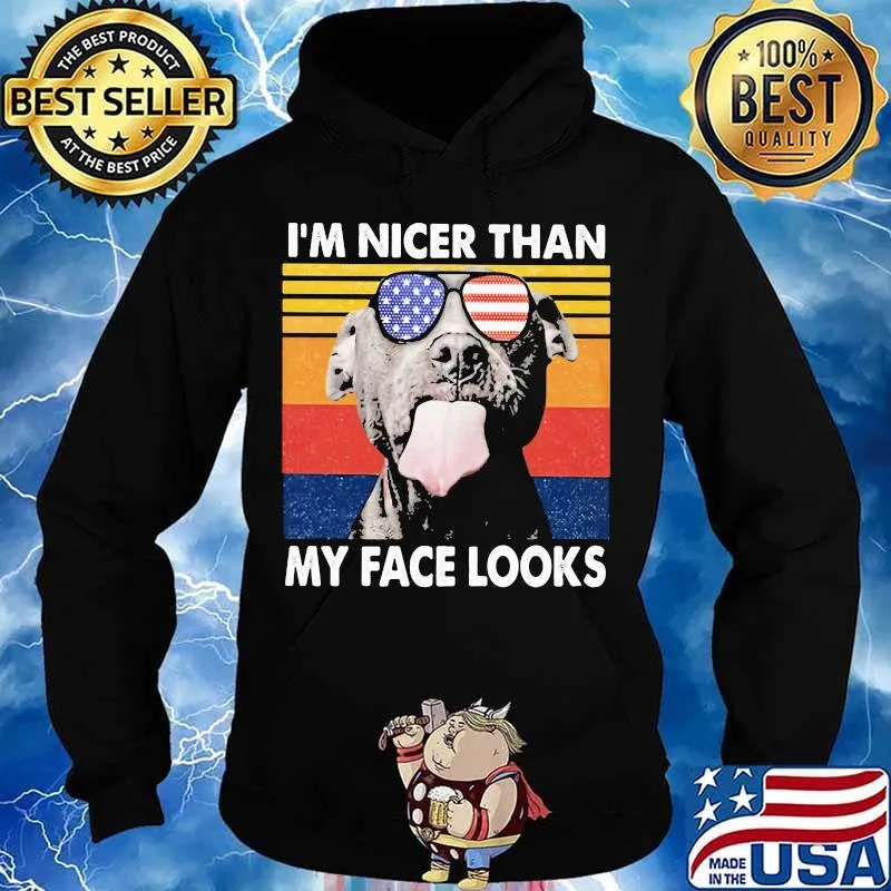 Pitbull I'm nicer than my face looks Glass America vintage retro s Hoodie