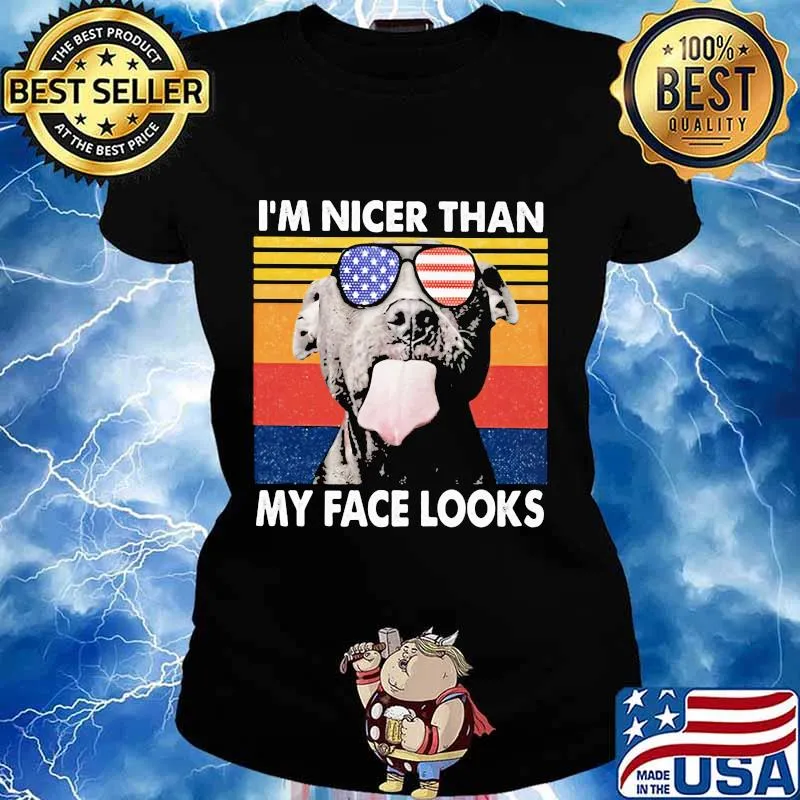 Pitbull I'm nicer than my face looks Glass America vintage retro s Ladies tee