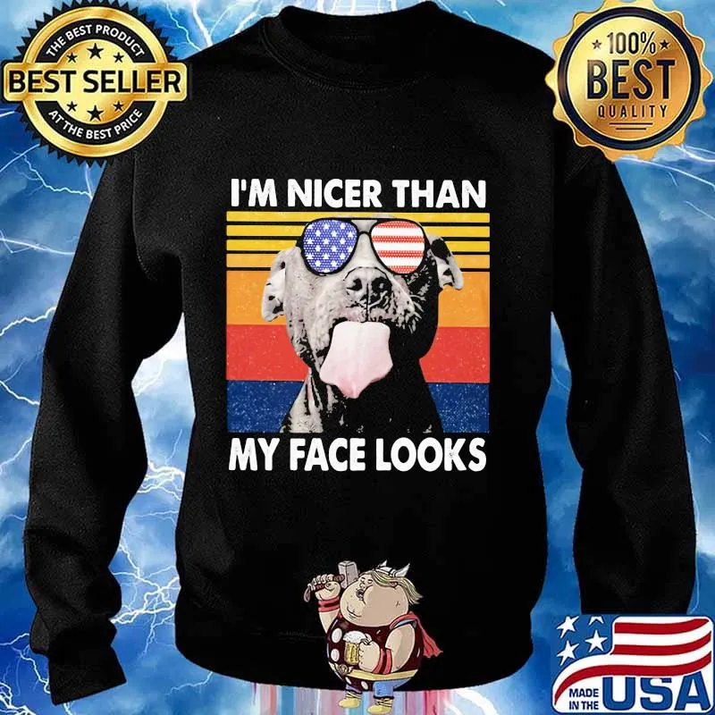 Pitbull I'm nicer than my face looks Glass America vintage retro s Sweater