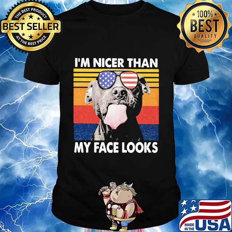 Pitbull I'm nicer than my face looks Glass America vintage retro shirt
