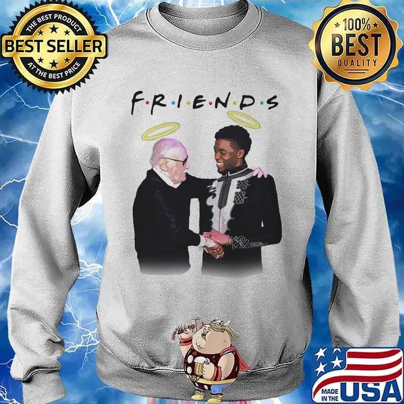 Rip black panther chadwick friends s Sweater