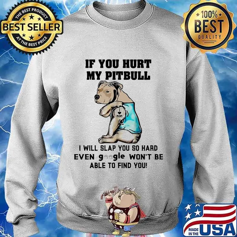 If you hurt my pitbull i will slap you so hard even google won't be able to find you heart s Sweater