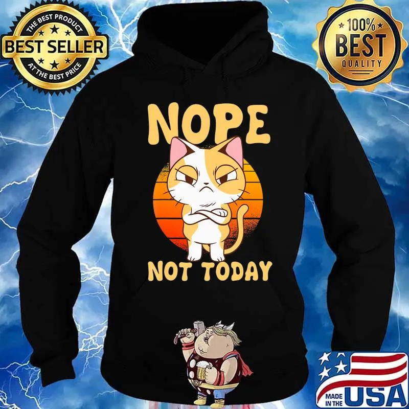 Nope Not Today Funny Cat Motif Gift Cat Kids Boys Girls T-Shirt Hoodie
