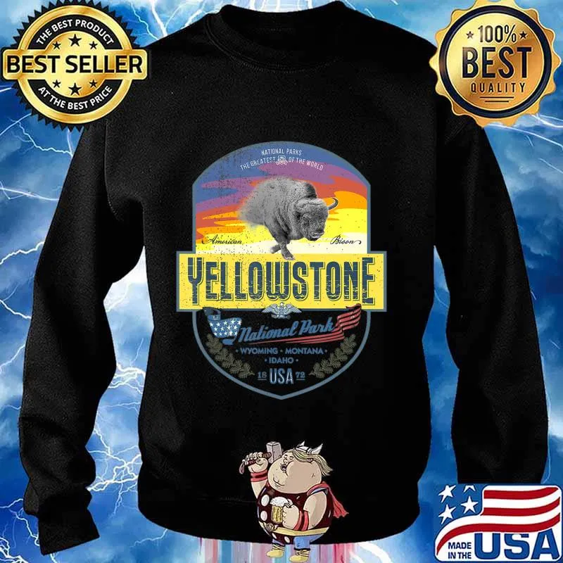 Vintage Retro US Bison Buffalo Yellowstone National Park T-Shirt Sweater