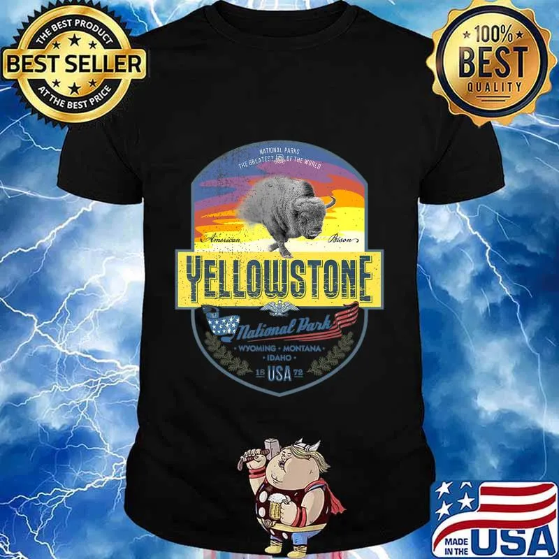 Vintage Retro US Bison Buffalo Yellowstone National Park T-Shirt