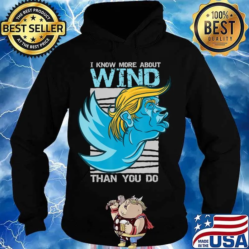 I know more about wind than you do trump s Hoodie