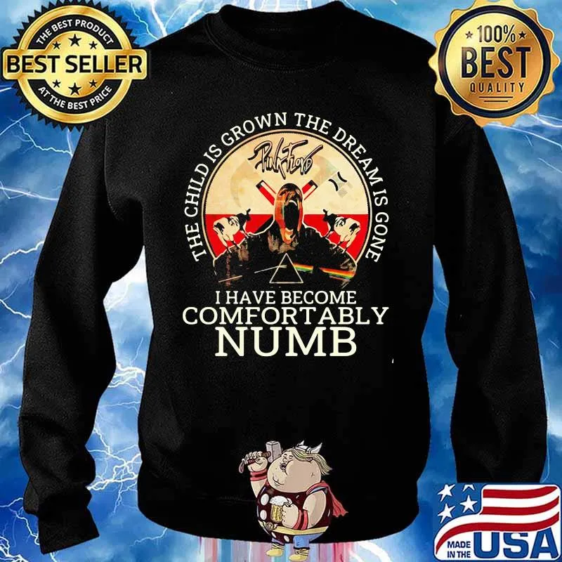 Pink floyd band the child is grown the dream is gone and i have become comfortably numb satan s Sweater