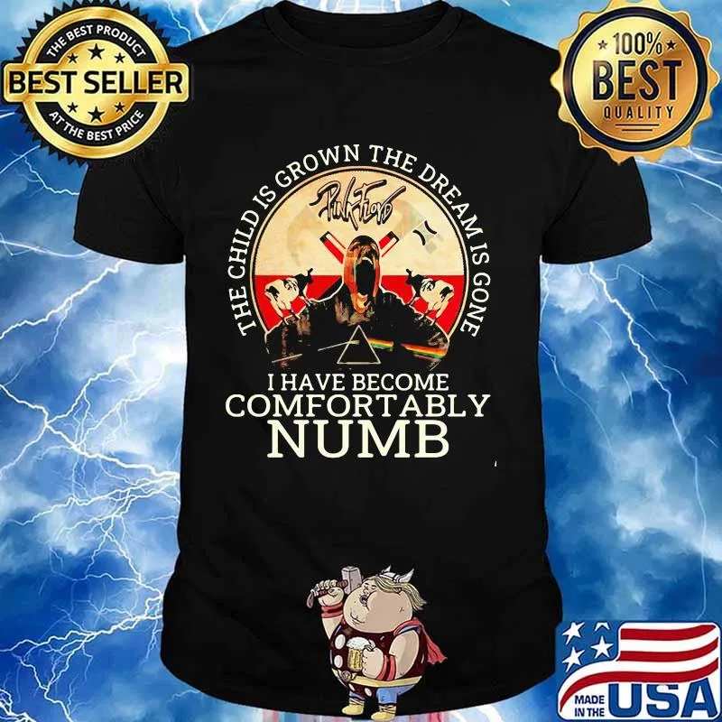 Pink floyd band the child is grown the dream is gone and i have become comfortably numb satan shirt