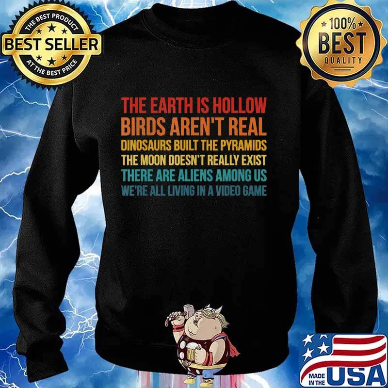 The earth is hollow birds arent real dinosaurs built the pyramids conspiracy theories compilation vintage s Sweater