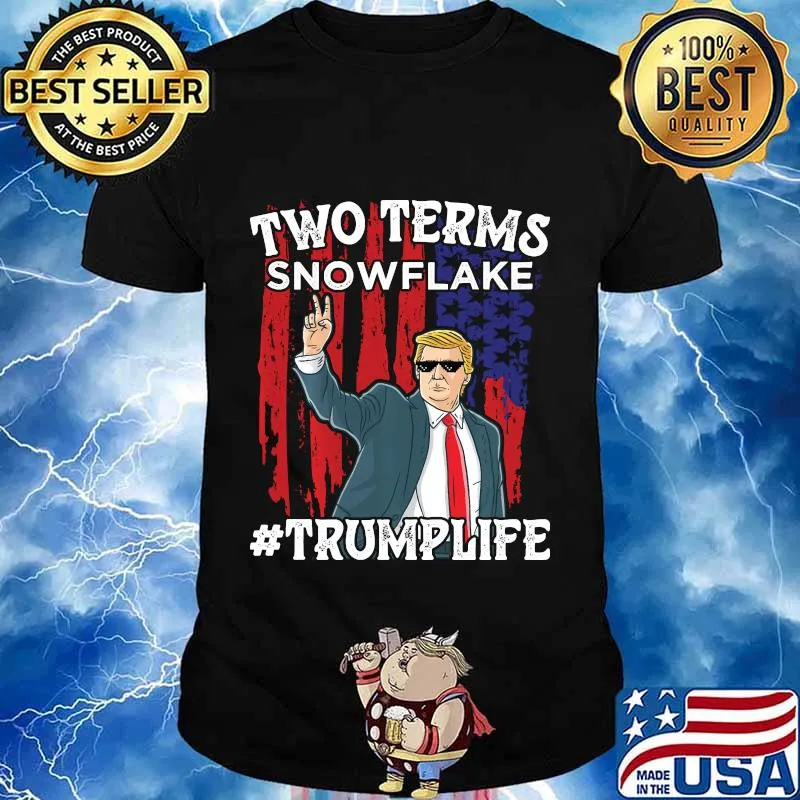 Two Terms Snowflake Vote President Trump US Flag Sunglasses Shirt
