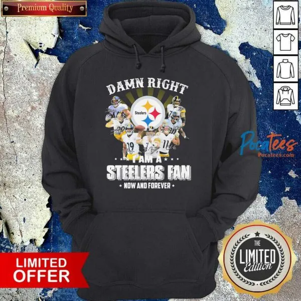 Nice So Damn Right I Am A Pittsburgh Steelers Fan Now And Forever Signature Shirt - Image 2