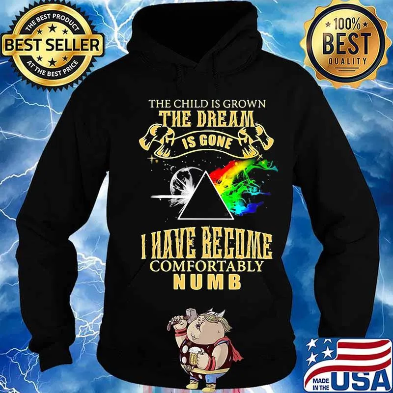 The Child Is Grown The Dream Is Gone I Have Become Comfortably Numb Lgbt Moon Shirt Hoodie