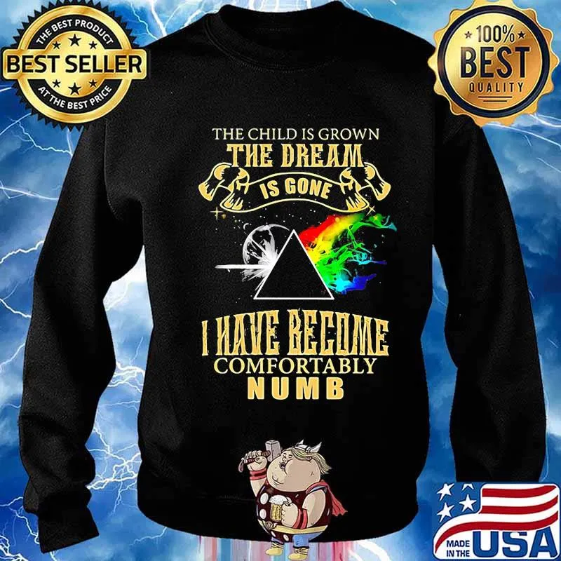 The Child Is Grown The Dream Is Gone I Have Become Comfortably Numb Lgbt Moon Shirt Sweater