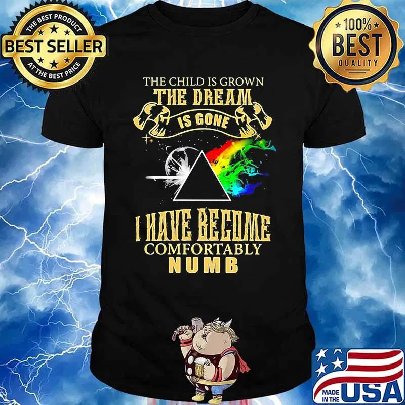 The Child Is Grown The Dream Is Gone I Have Become Comfortably Numb Lgbt Moon Shirt