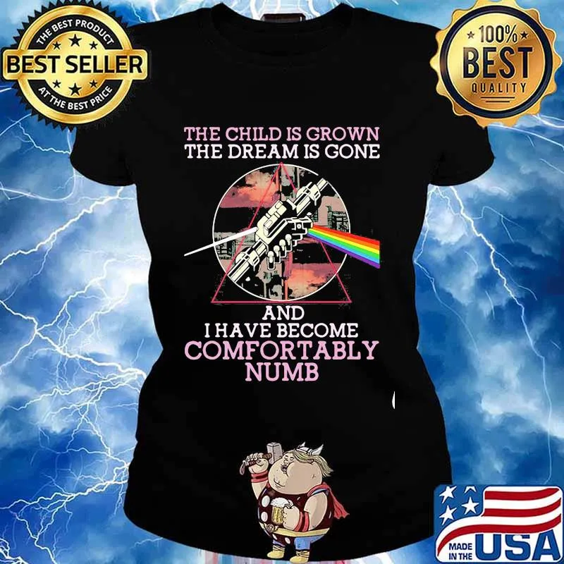 The Child Is Grown The Dream Is Gone I Have Become Comfortably Numb Lgbt Shirt Ladies tee