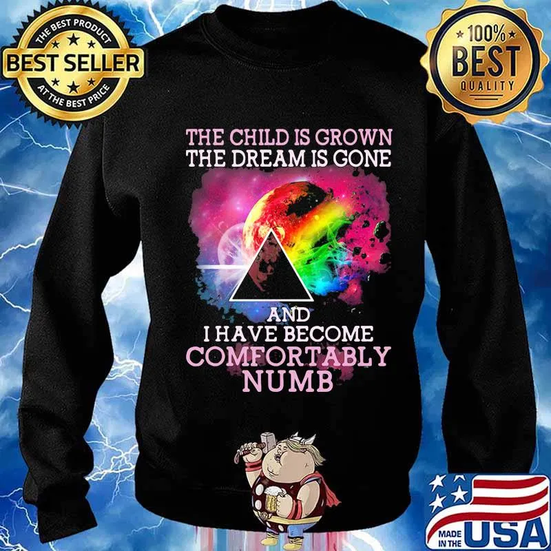 The Child Is Grown The Dream Is Gone I Have Become Comfortably Numb Pink Floyd Moon Lgbt Shirt Sweater