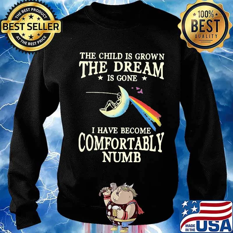 The child is grown the dream is gone i have become comfortably numb pink floyd s Sweater