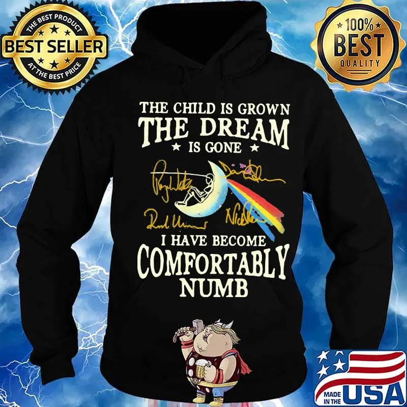 The child is grown the dream is gone i have become comfortably numb pink floyd signatures s Hoodie