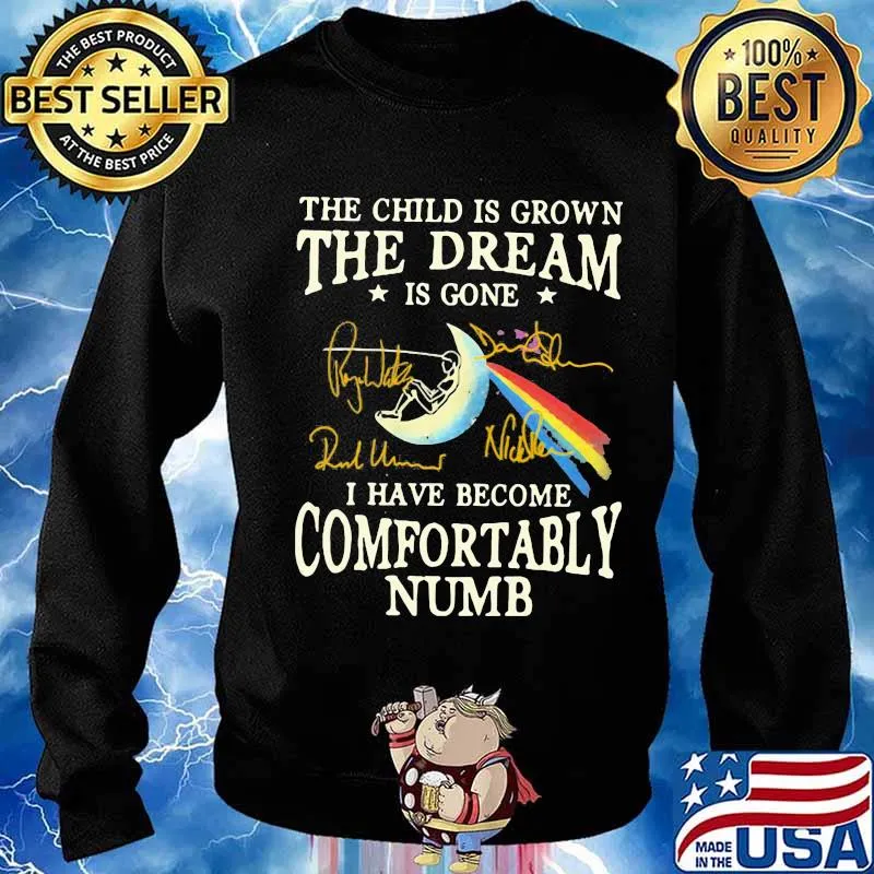 The child is grown the dream is gone i have become comfortably numb pink floyd signatures s Sweater