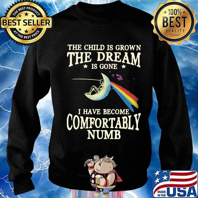The child is grown the dream is gone i have become comfortably numb s Sweater