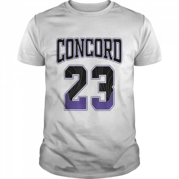 23 Made To Match Jordan 12 Dark Concord Retro shirt