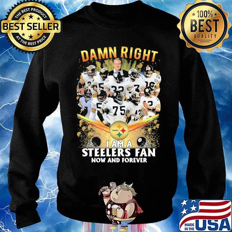 Damn Right I Am A Steelers Fan Now And Forever Football Shirt Sweater