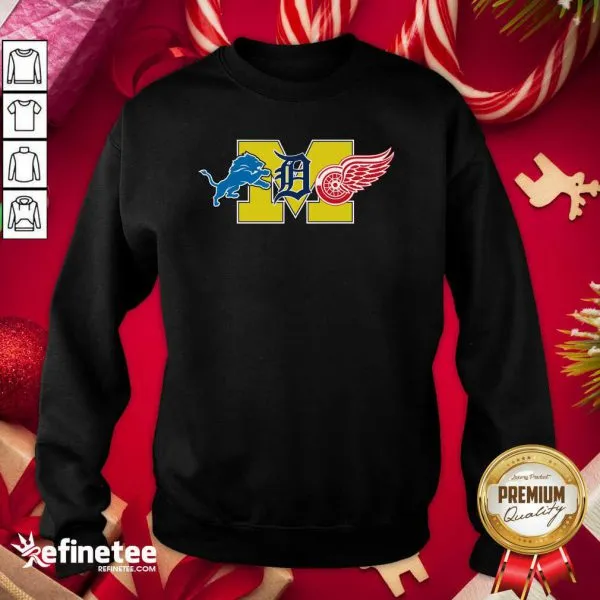 Official Detroit Lions Detroit Red Wings Danville Blue Devils Shirt - Image 4