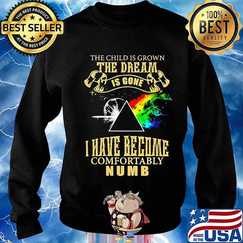 The Child Is Grown The Dream Is Gone I Have Become Comfortably Numb Moon Lgbt Pink Floyd Shirt Sweater