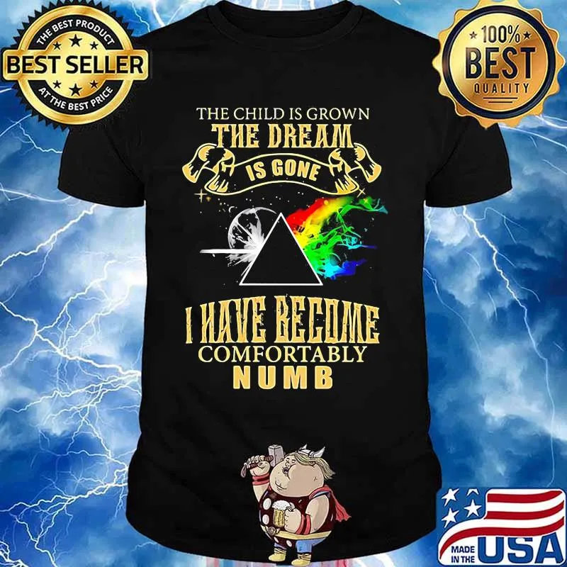 The Child Is Grown The Dream Is Gone I Have Become Comfortably Numb Moon Lgbt Pink Floyd Shirt