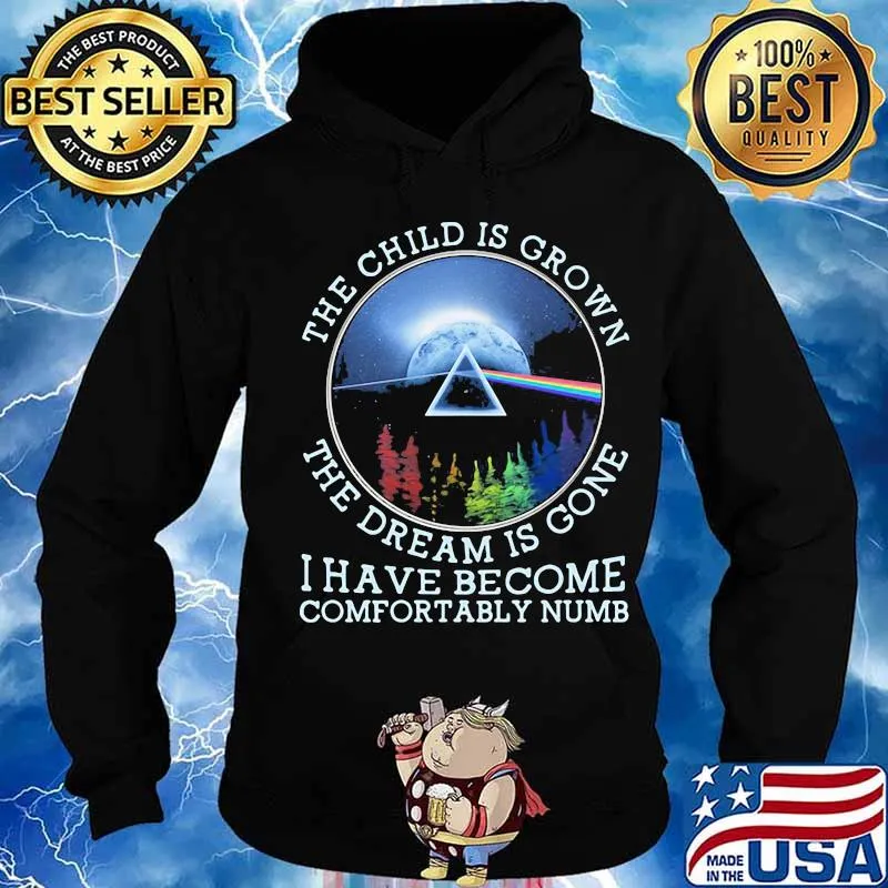The Child Is Grown The Dream Is Gone I Have Become Comfortably Numb Pink Floyd Lgbt Shirt Hoodie