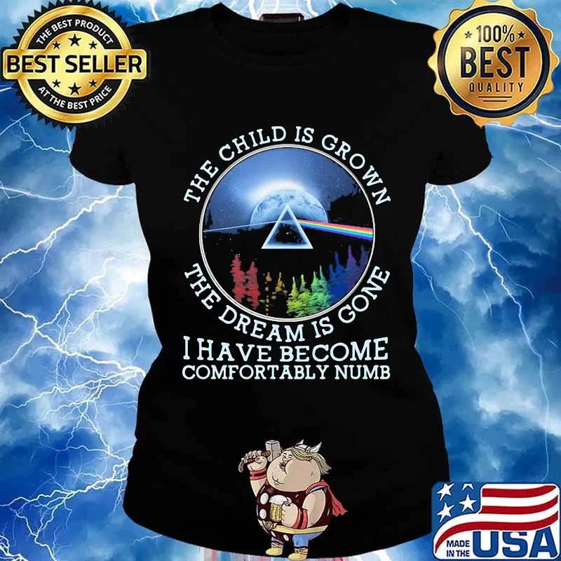 The Child Is Grown The Dream Is Gone I Have Become Comfortably Numb Pink Floyd Lgbt Shirt Ladies tee