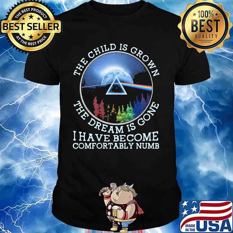 The Child Is Grown The Dream Is Gone I Have Become Comfortably Numb Pink Floyd Lgbt Shirt