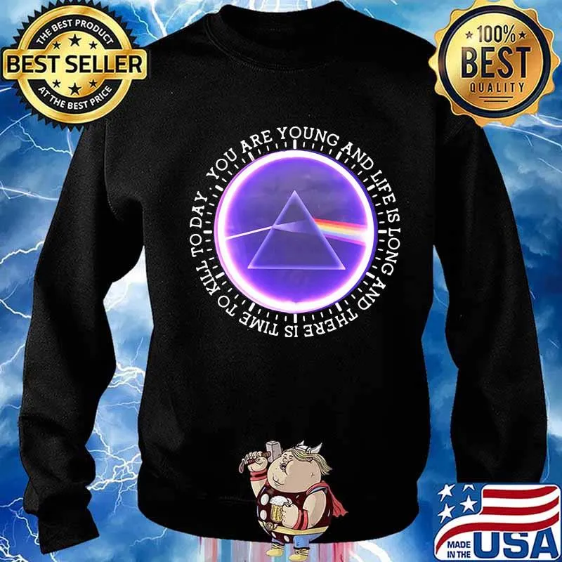 You Are Young And Life Is Long And There Is Time To Kill To Day Pink Floyd Shirt Sweater