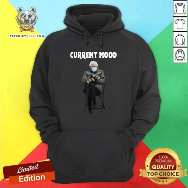 Victimised 2021 Bernie Sanders Current Mood Shirt - Image 5