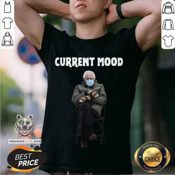 Victimised 2021 Bernie Sanders Current Mood Shirt