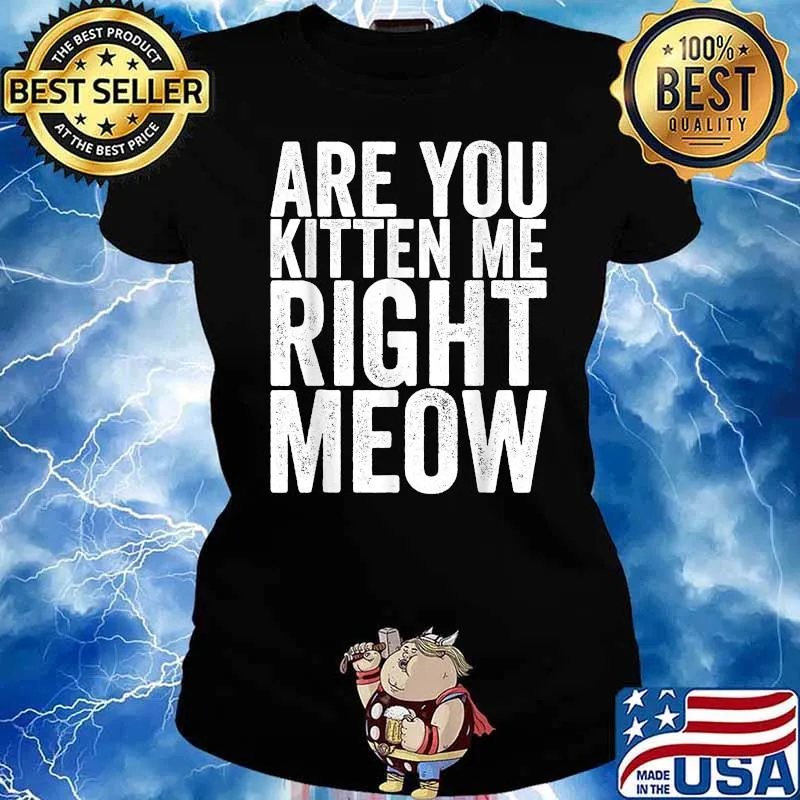 Are You Kitten Me Right Meow Quote Shirt Ladies tee